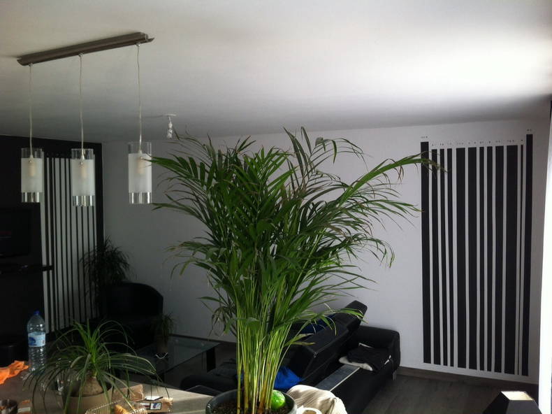 Colocation Noyal-Muzillac 99141-2