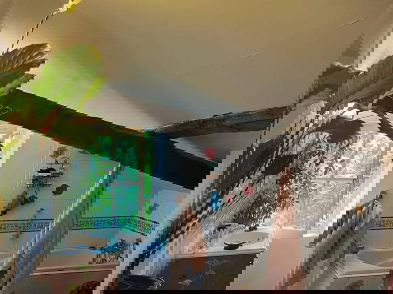 Colocation Coufouleux 643827-2