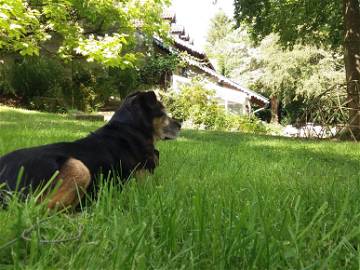 Chambre Chez L'habitant Court-St.-Étienne 265462-6