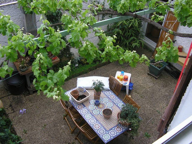 Homestay Toulouse 29877