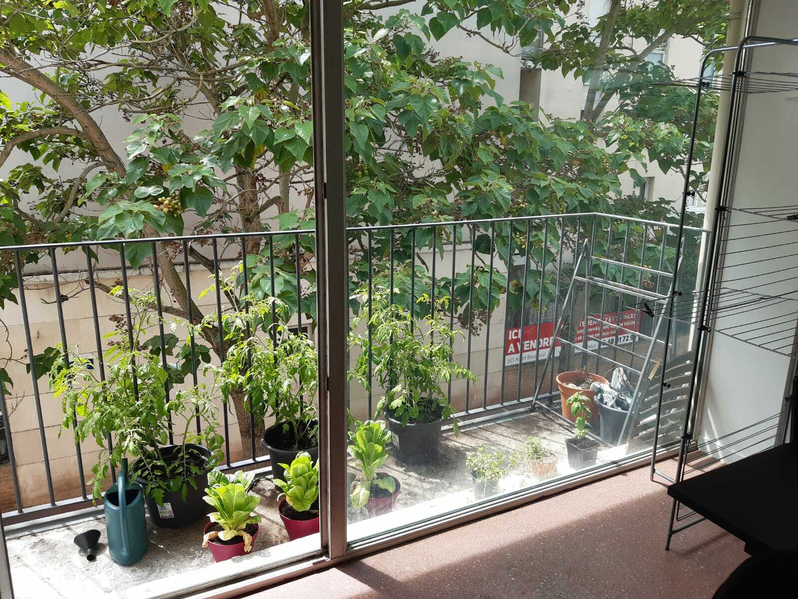 Colocation Maisons-Alfort 251210