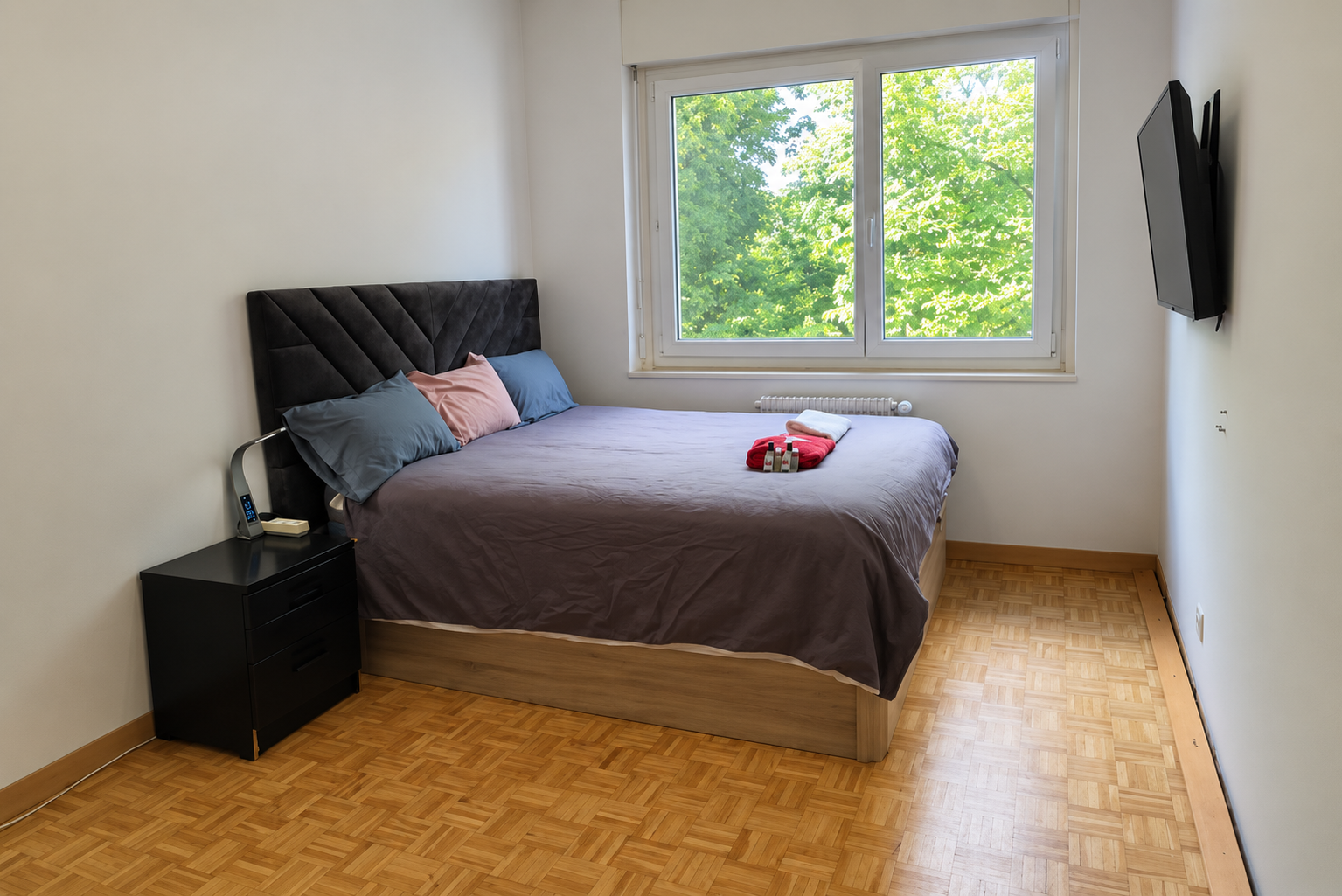 Chambre Chez L'habitant Versoix 675276