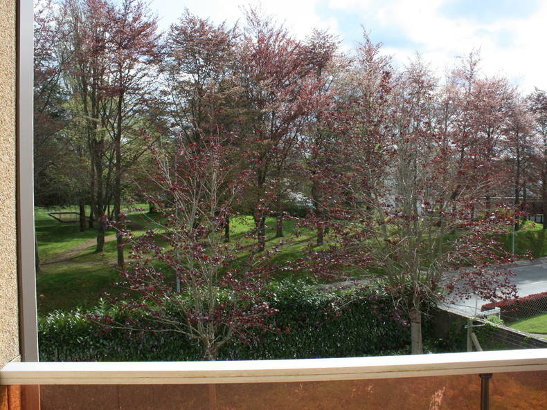 Colocación Guingamp 99580-3