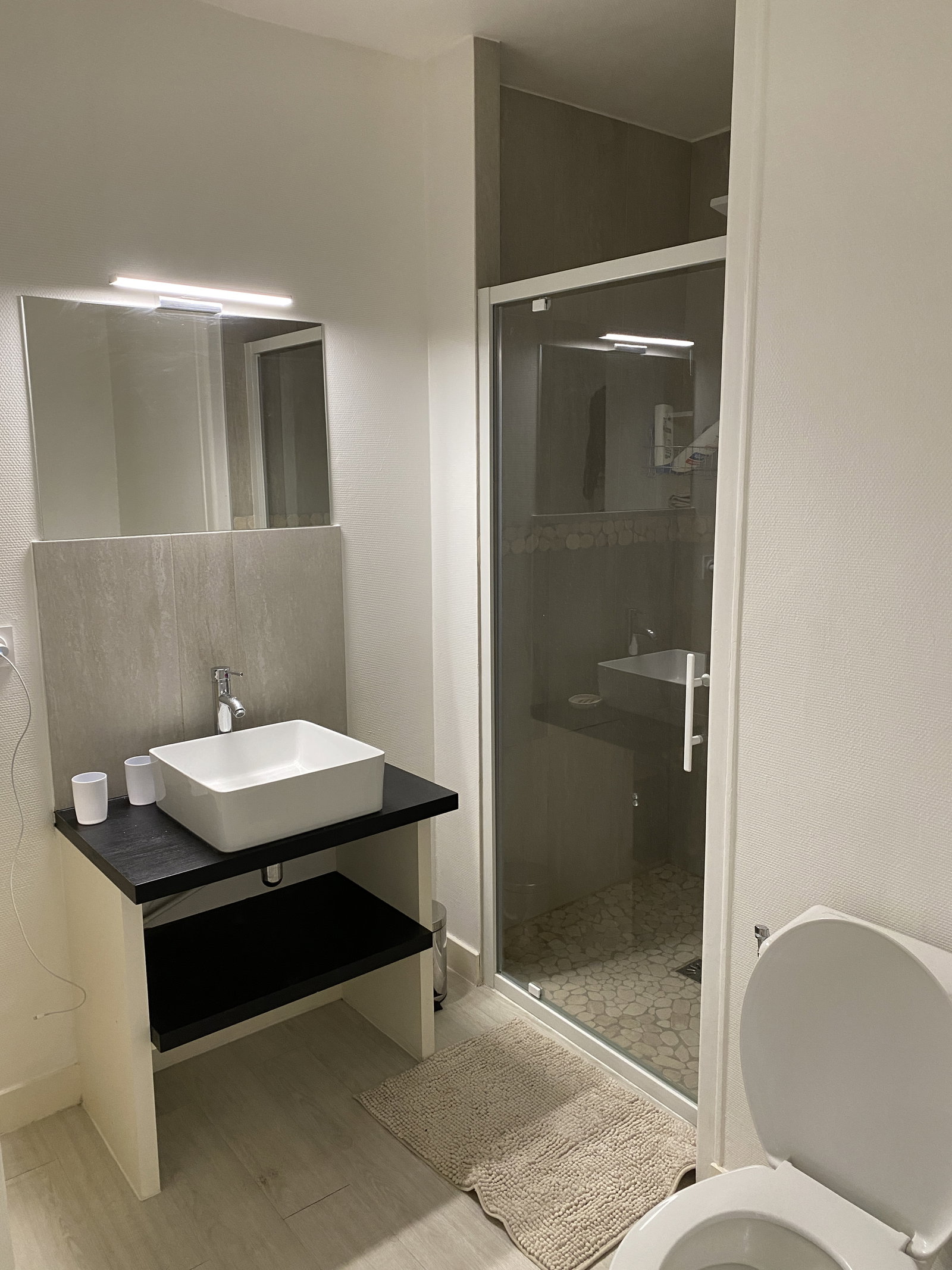 Chambre Chez L'habitant Maisons-Alfort 330876
