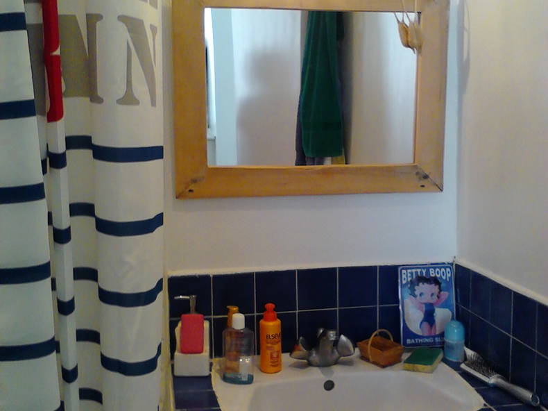 Kolokasie Paris 102454-4