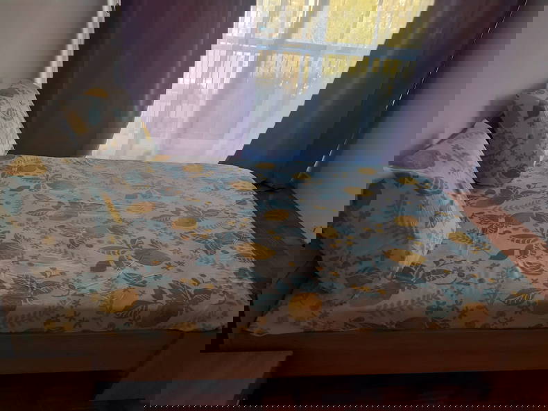 Colocation Pontoise 247821-2