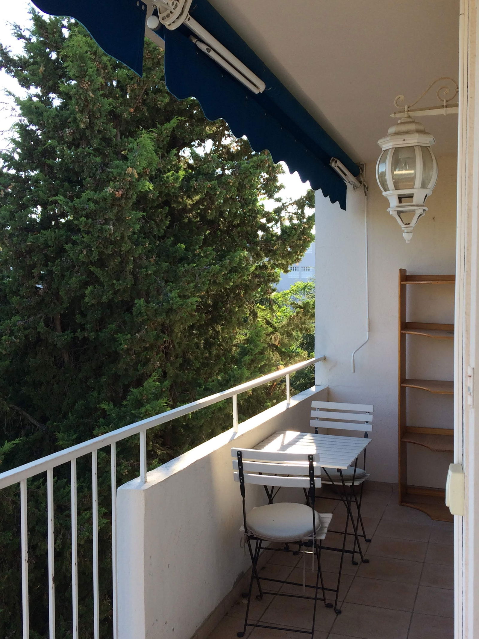 Colocation Toulon 256235