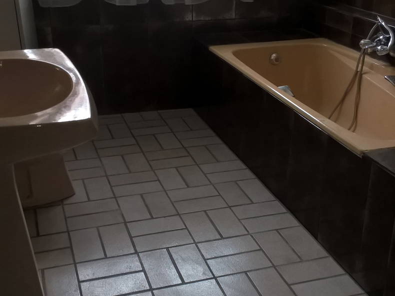 Colocation Schiltigheim 148556-4