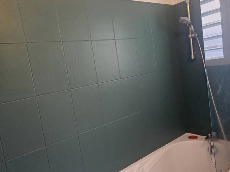 Colocation Saint-Pierre 665487-3
