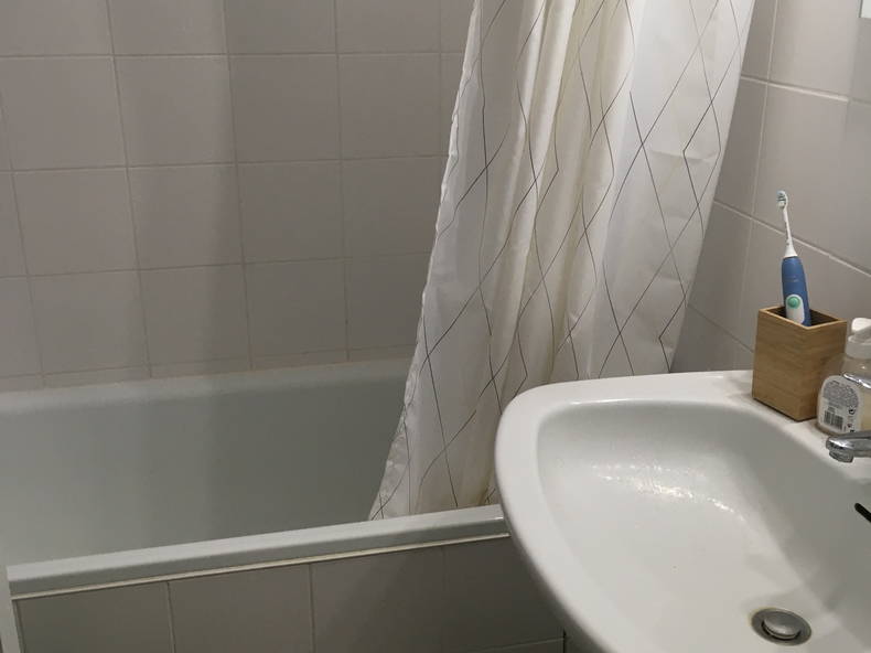 Kolokasie Angers 258032-4