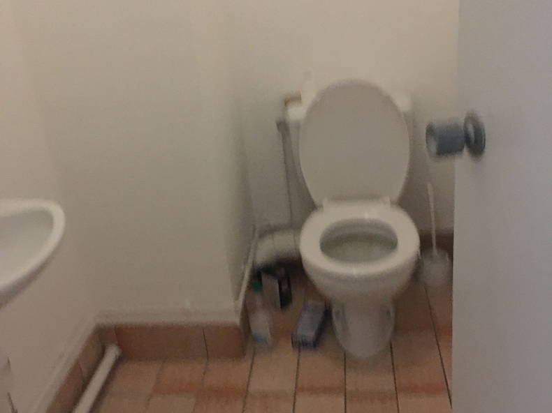 Kolokasie Angers 258032-5