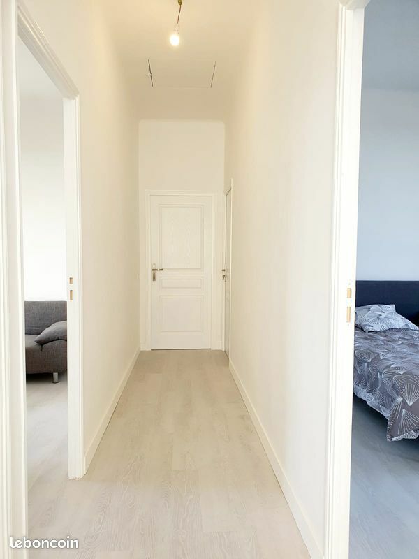 Colocation Antibes 245438
