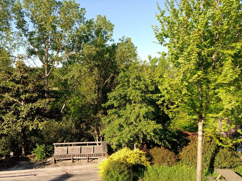 Colocation Saint-Sylvestre 264542-4