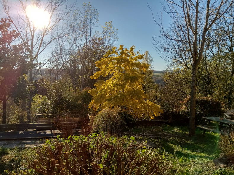 Colocation Saint-Sylvestre 264542-5