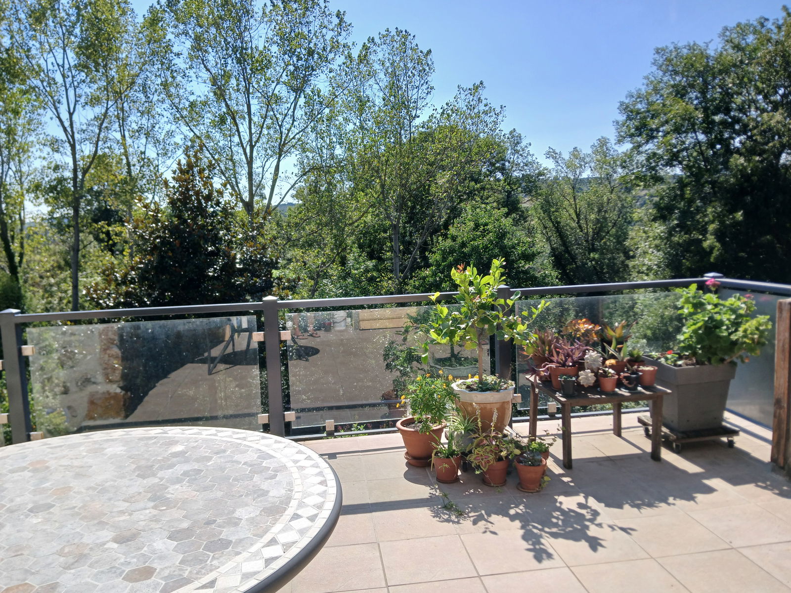 Colocation Saint-Sylvestre 264542