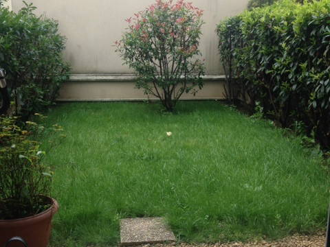 Colocation Argenteuil 169758-3