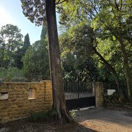 Kolokation Avignon 1372