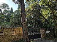 Kolokation Avignon 1372-3