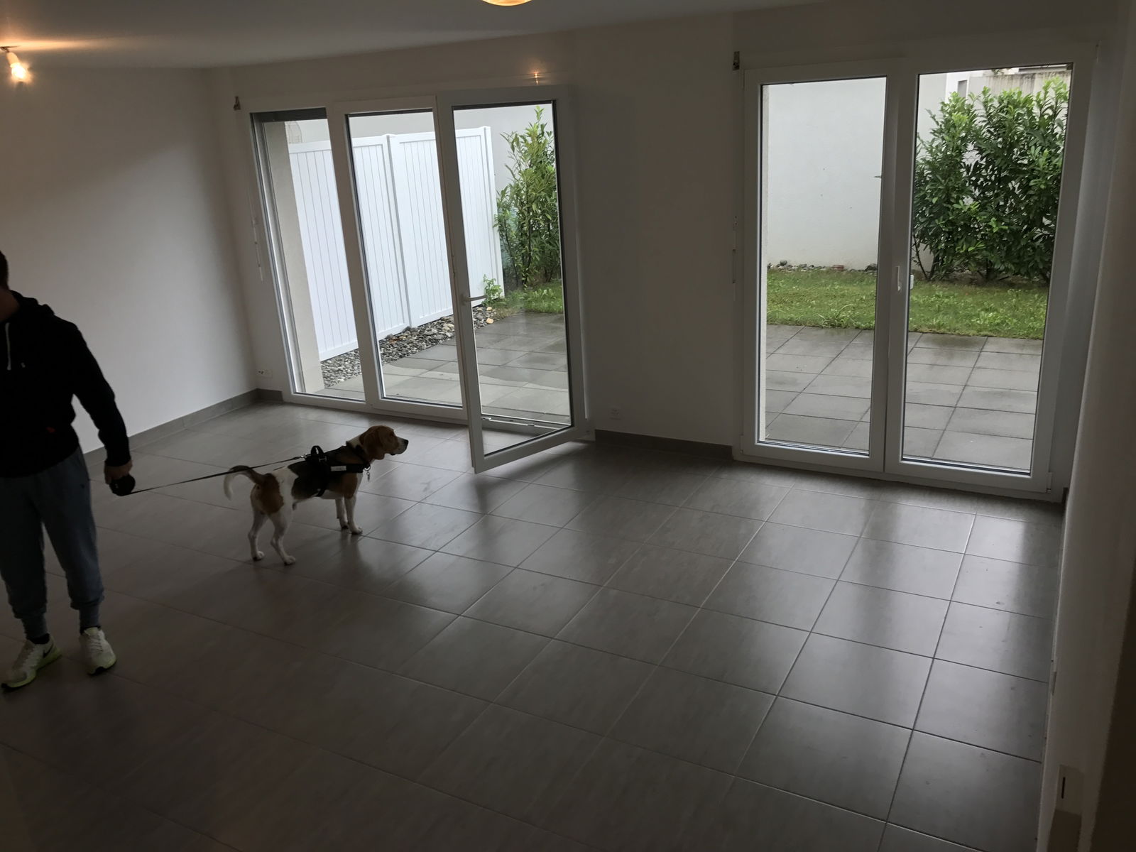 Colocação Noville 237435