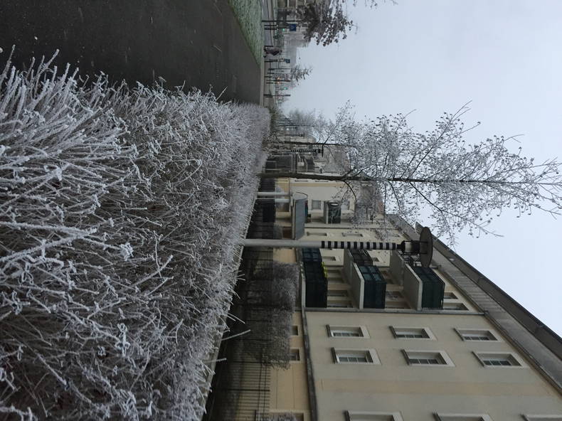 Kolokation Bussy-Saint-Georges 139603-1