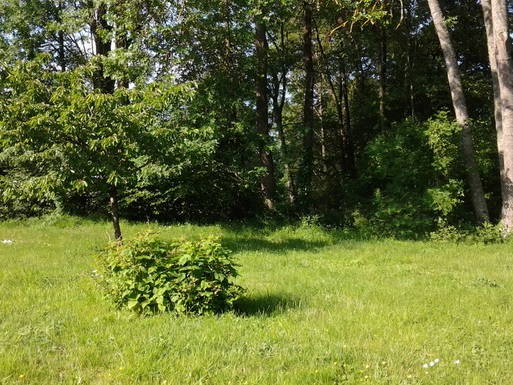 Kolokation Aze 26005-2