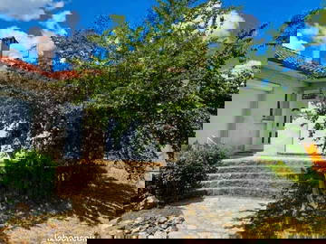 Wohngemeinschaft Albi 662471-3