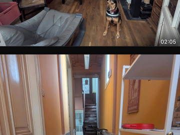 Homestay to rent in Mons - photo 9-9