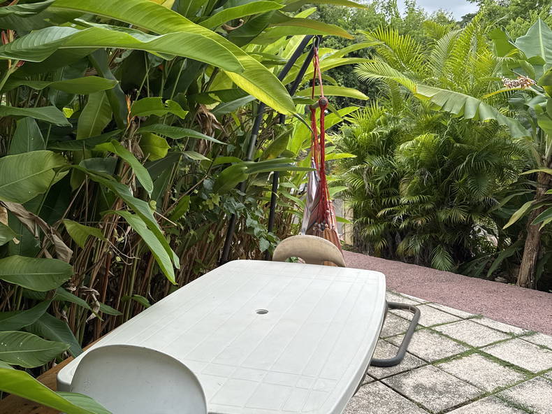 Kolokation Le Gosier 547687-4