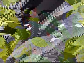 Colocation Le Gosier 547687-6