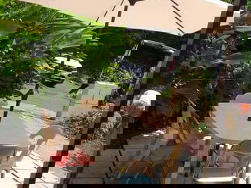 Colocation Le Gosier 547687-9