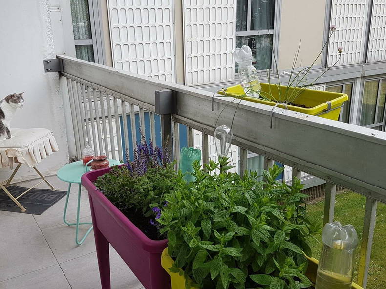 Colocation Pierrefitte-sur-Seine 243338-5