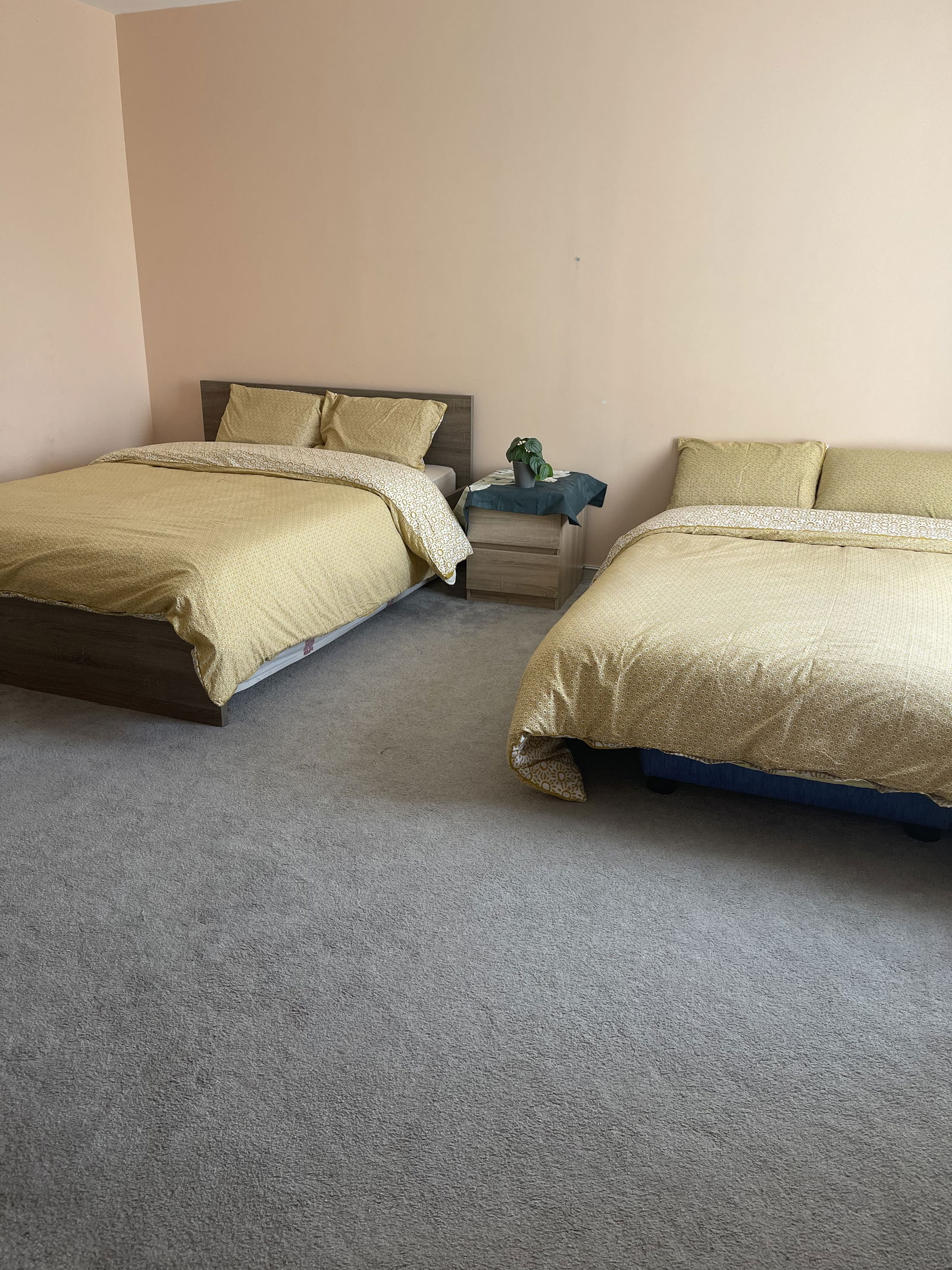 Colocation Goussainville 259039