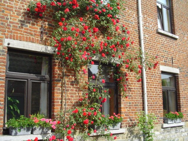 Hemvistelse Seneffe 250232