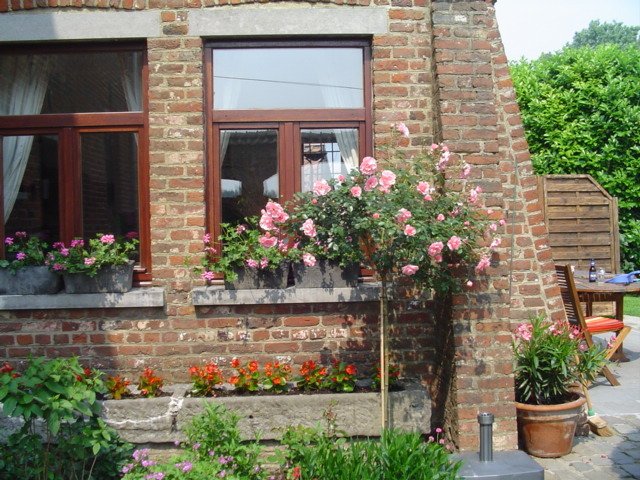 Hemvistelse Seneffe 250232