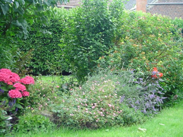 Hemvistelse Seneffe 250232