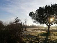 Tuisverblyf Mouchamps 252595-5