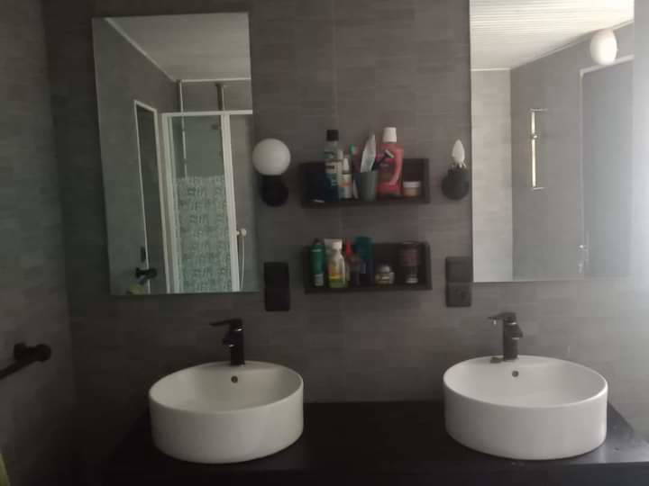 Kolokasie La Tâche 371168-4