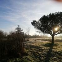 Chambre Chez L'habitant Mouchamps 252596