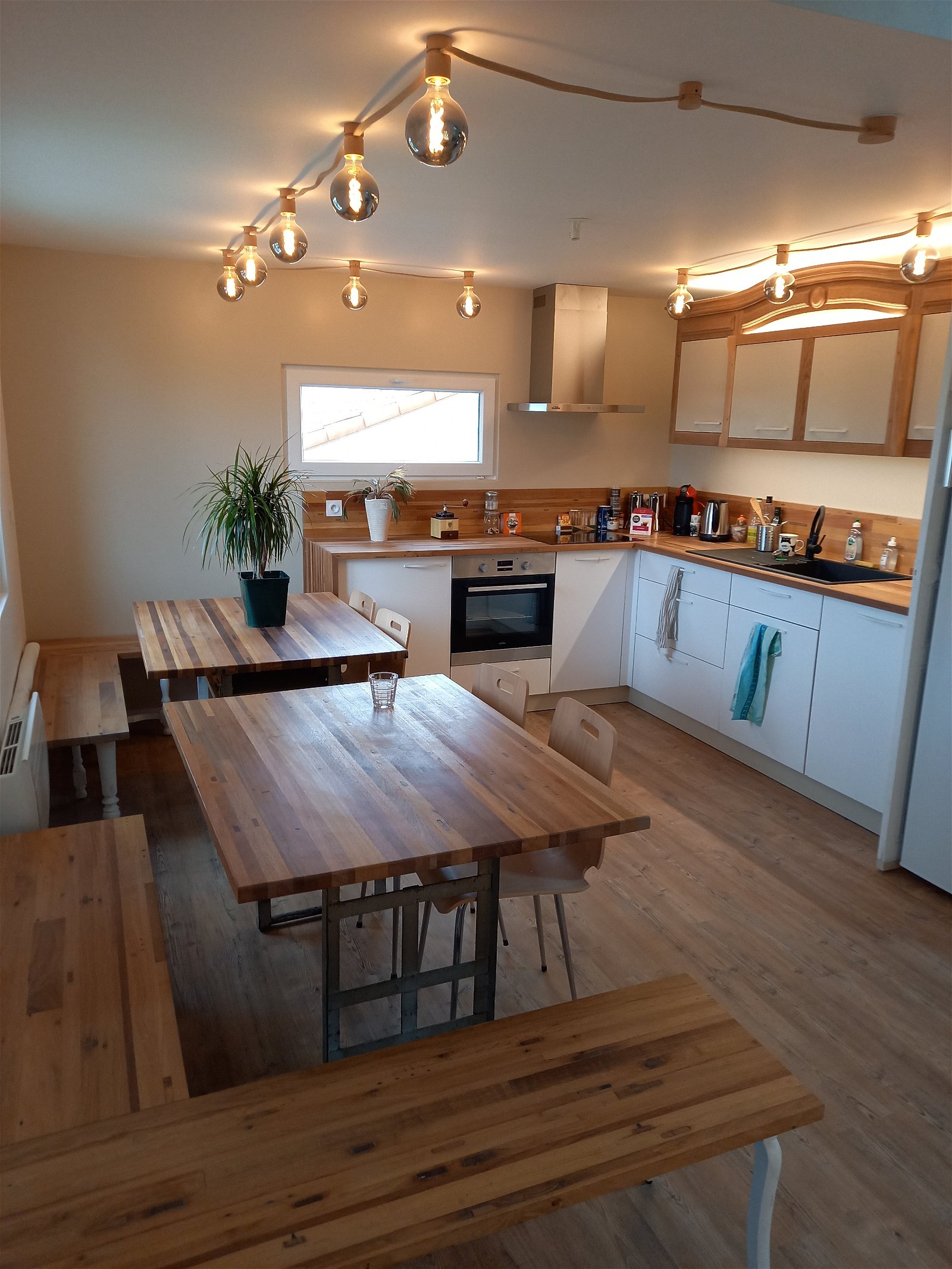 Colocation Haute-Goulaine 256471