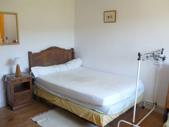 Kolokasie Vincelles 30558-2