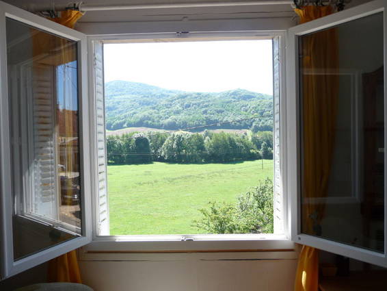 Kolokasie Vincelles 30558-4