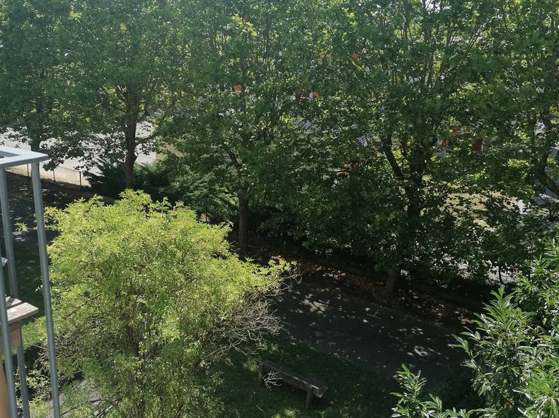 Colocación Lagny-sur-Marne 623918-3