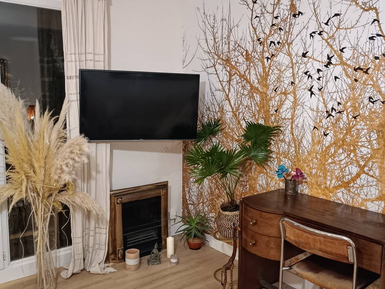 Colocation Lattes 478498-5