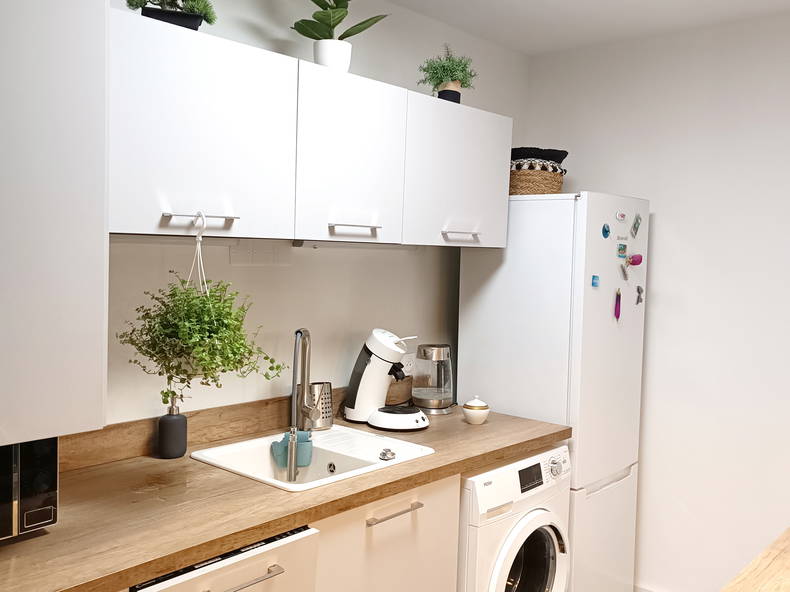 Colocation Lattes 478498-3