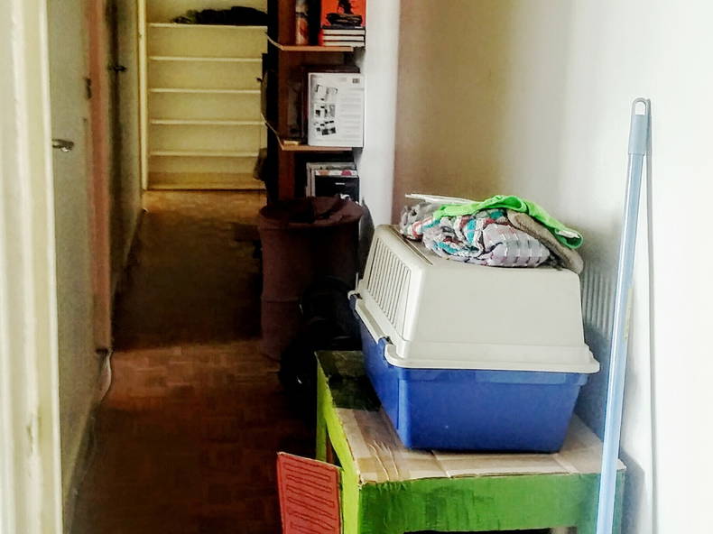 Colocation Clamart 130629-3