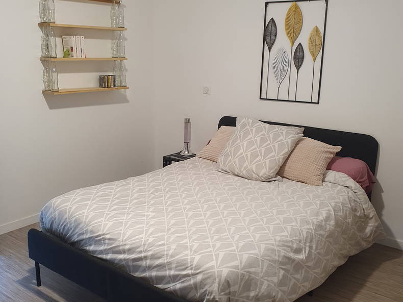 Colocation Bordeaux 678205-5