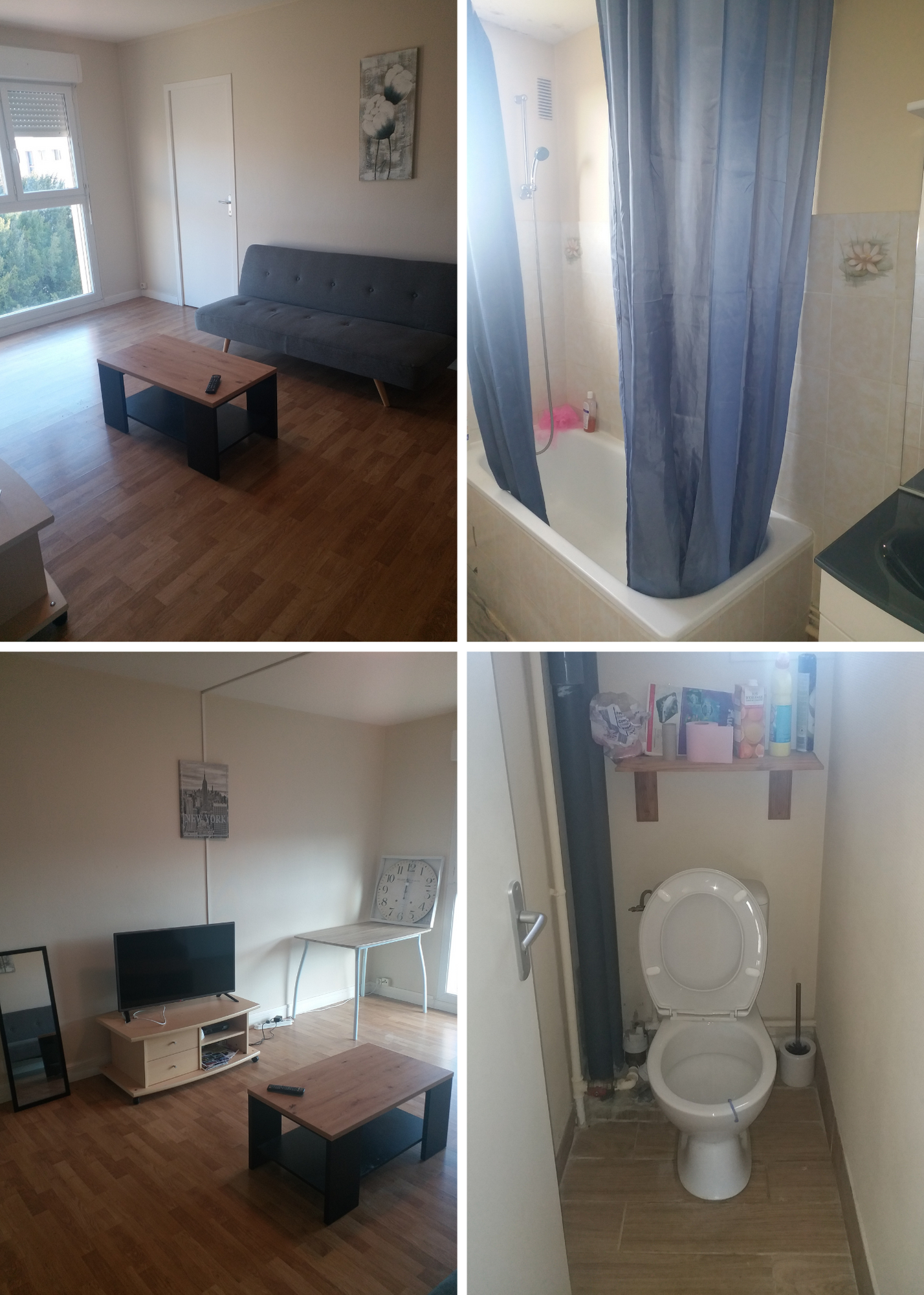 Colocation Le Mans 246246