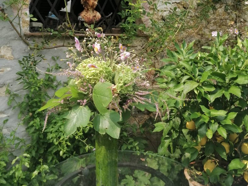 Colocation Thomery 481387-3