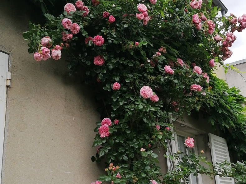 Colocation Thomery 481387-4