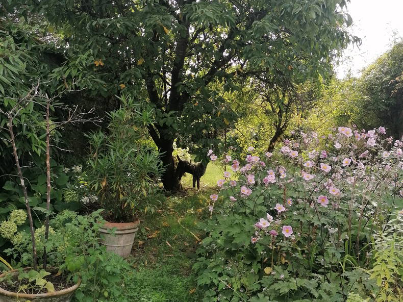 Colocation Thomery 481387-5